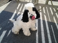 /album/patu/puh0304-023-jpg/